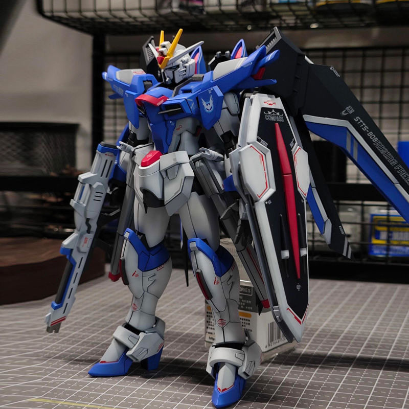 Bandai Gundam Rg - 1/144 HG Schaal Mecha Plastic Model